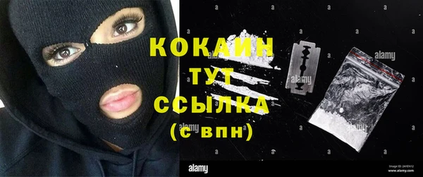 амф Богданович