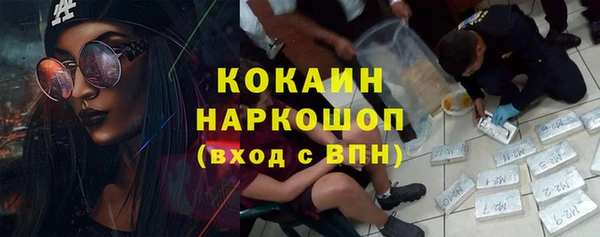 амф Богданович