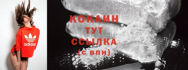 твердый Богородск