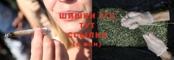 твердый Богородск