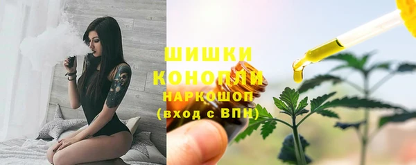 твердый Богородск