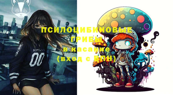 твердый Богородск