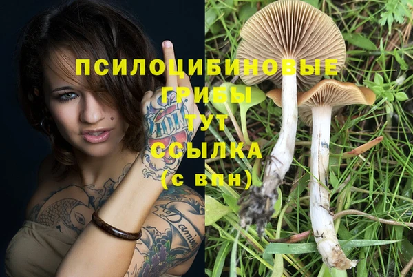 амф Богданович