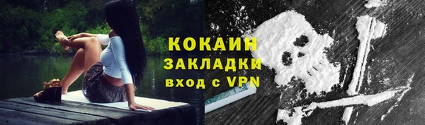 амф Богданович
