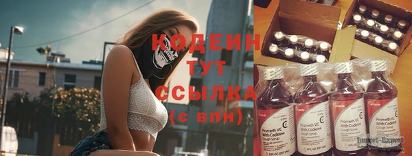 твердый Богородск