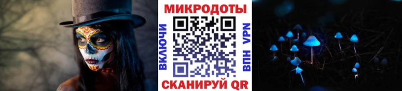Псилоцибиновые грибы MAGIC MUSHROOMS  наркошоп  Бийск 